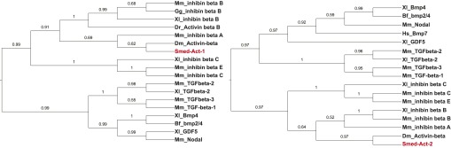 Figure 4—figure supplement 1.