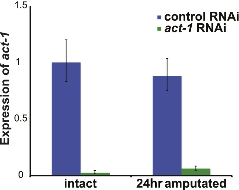 Figure 4—figure supplement 3.