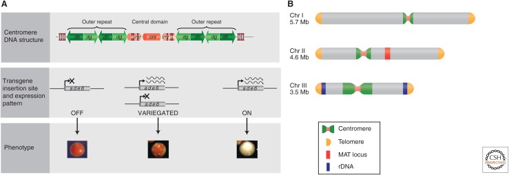 Figure 2.