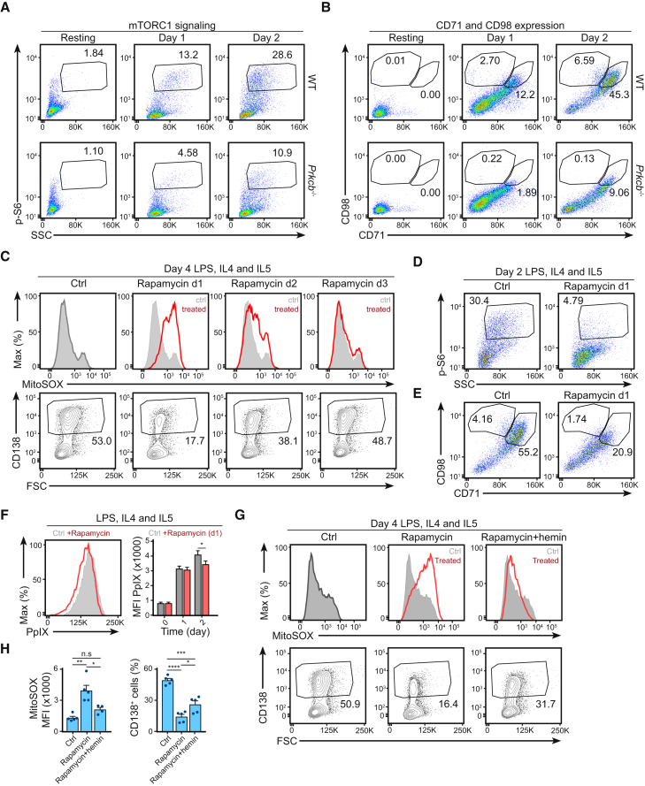 Figure 6