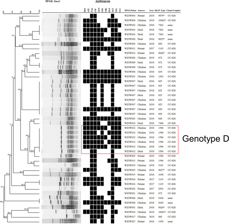 FIGURE 3