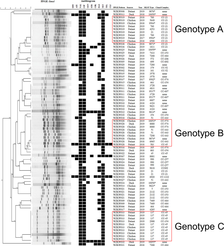 FIGURE 2