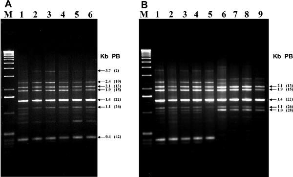 FIG. 5.