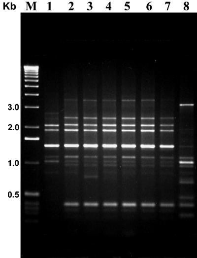 FIG. 6.