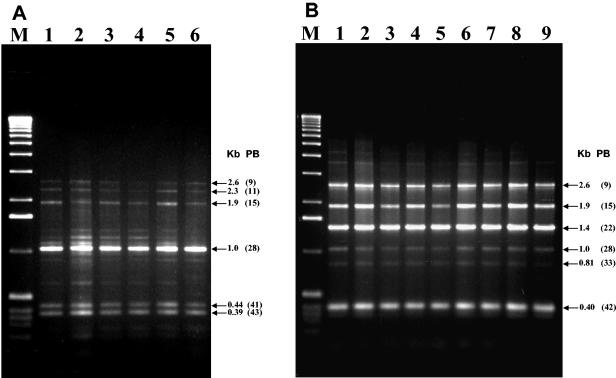 FIG. 7.