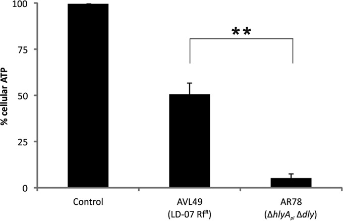 FIG 2