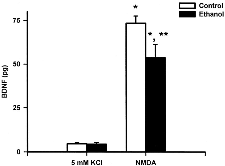 Fig. 10.