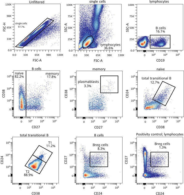 Figure 4