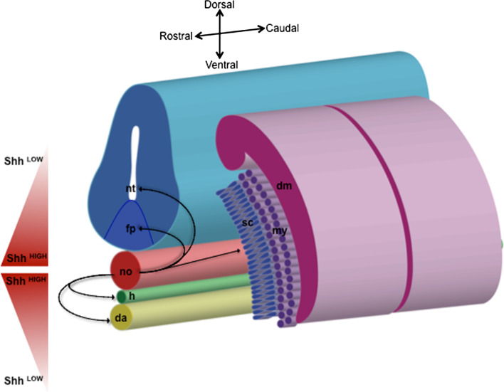 Fig. 2