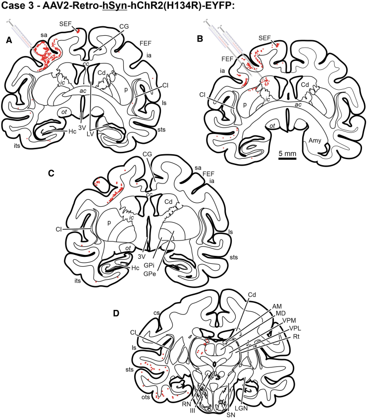 Figure 3.