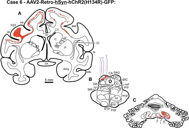 Figure 6.