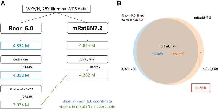 Figure 4