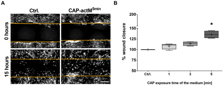 Figure 5