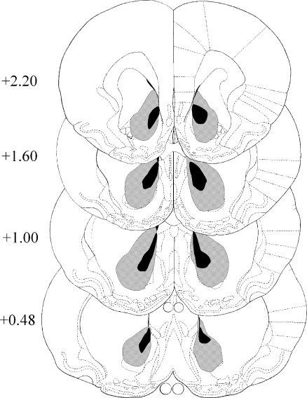 Fig. 6