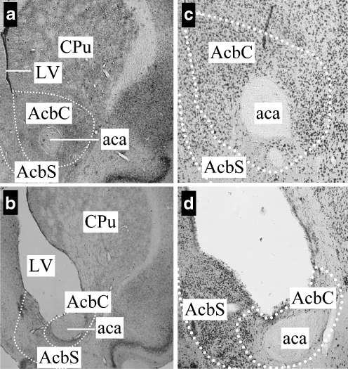 Fig. 5