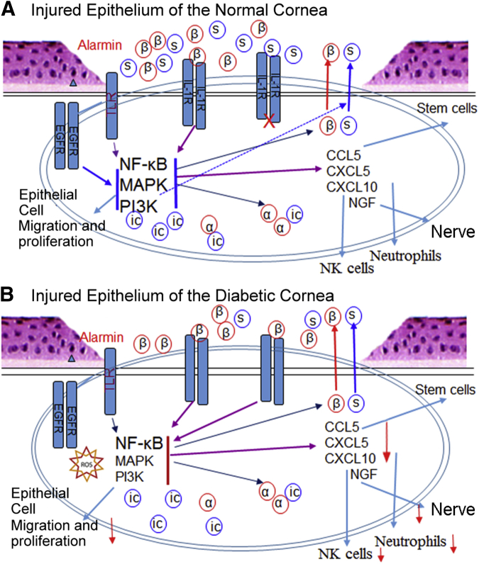 Figure 9