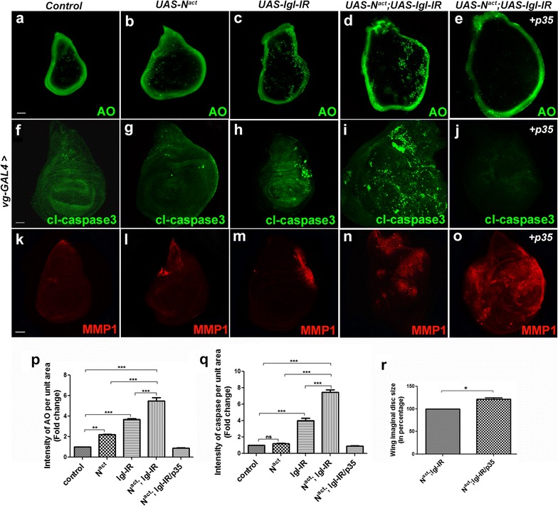 Fig. 3