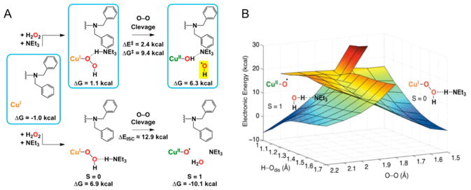 Figure 33