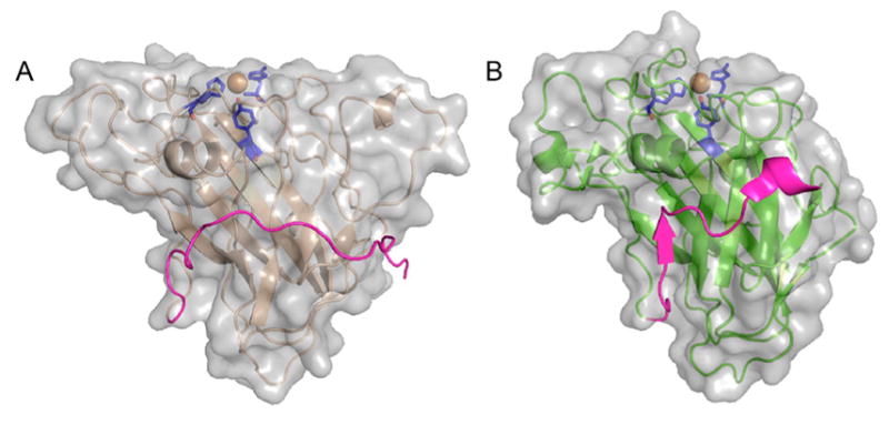 Figure 17