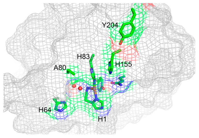 Figure 34