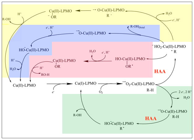 Figure 29