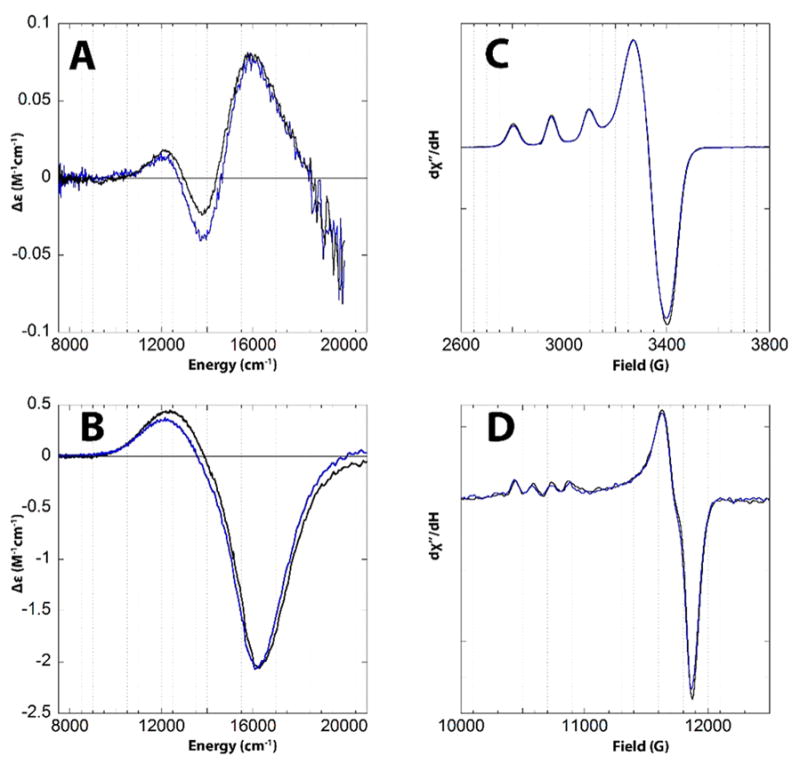 Figure 24