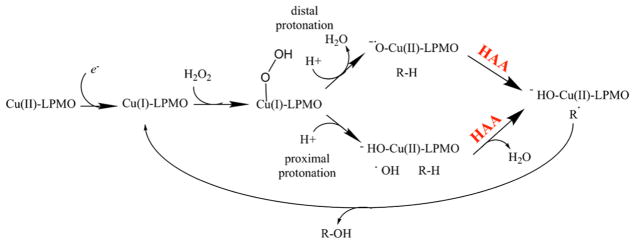 Figure 32