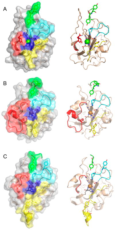 Figure 12