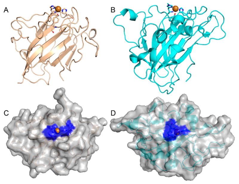 Figure 15