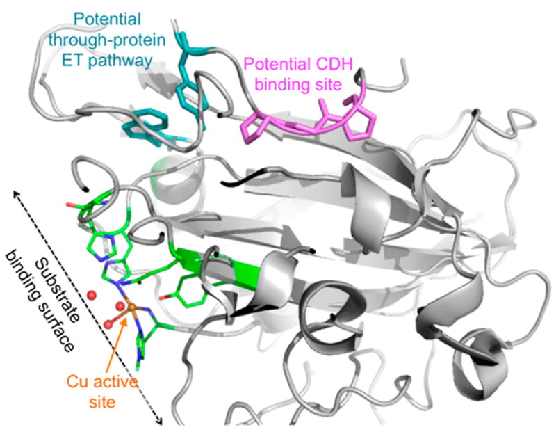 Figure 35