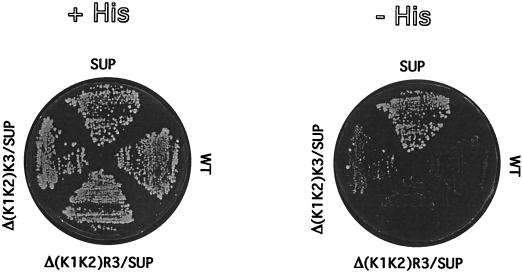 FIG. 5