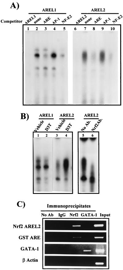 FIG. 5.