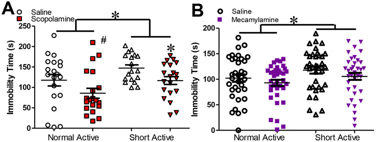 Figure 3: