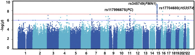 FIGURE 2