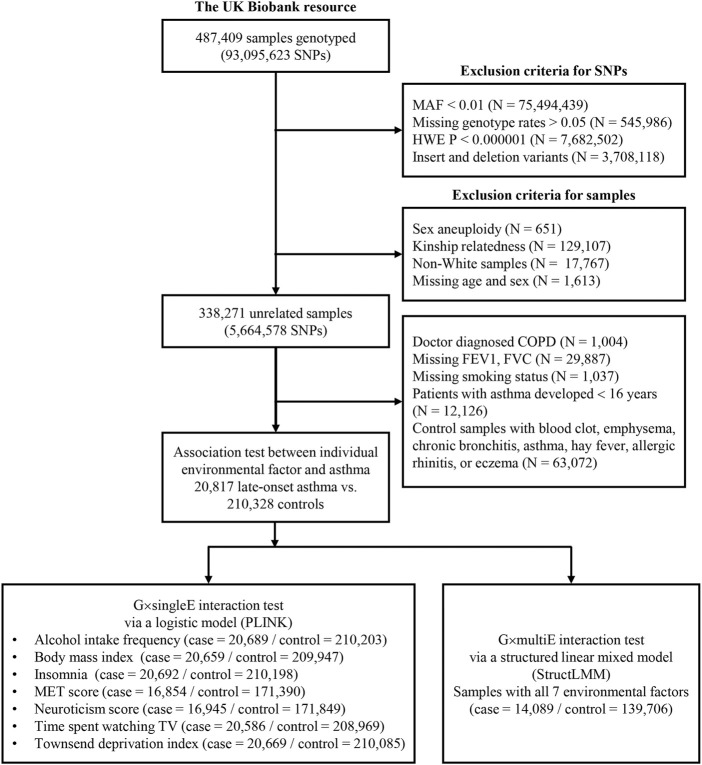 FIGURE 1