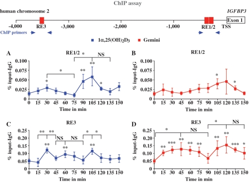 Figure 2.