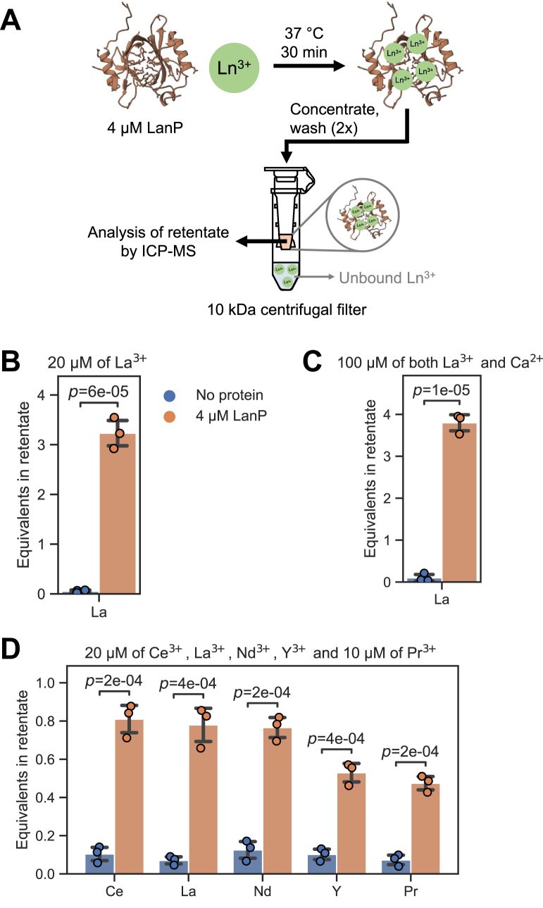 Figure 4