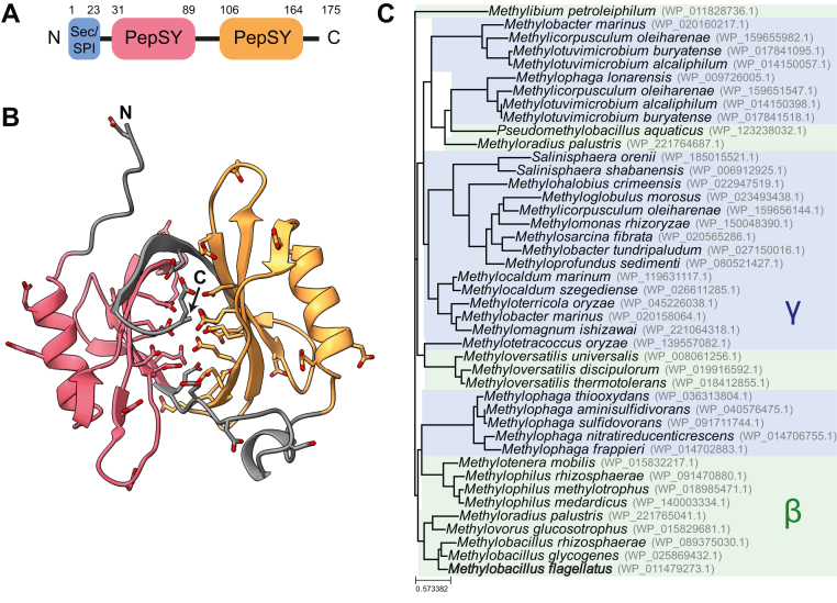 Figure 2