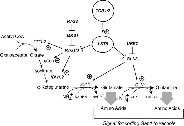 Figure 9.