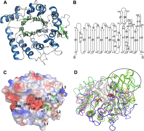 FIGURE 1.