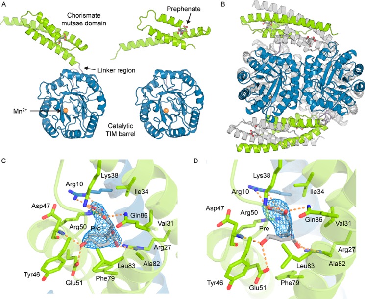 FIGURE 6.