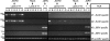 FIG. 5.