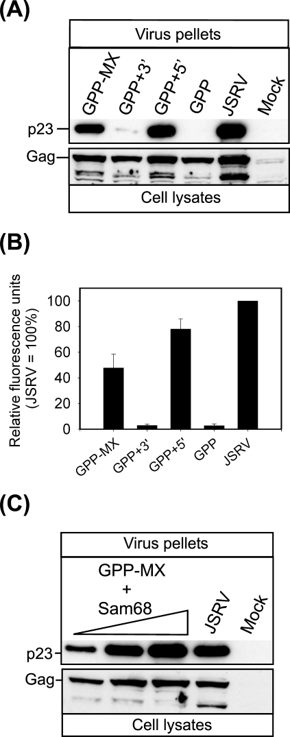 FIG. 2.