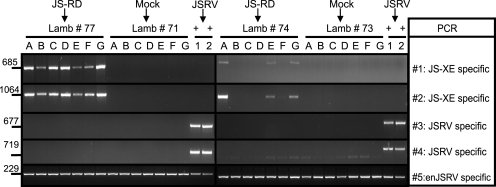 FIG. 5.