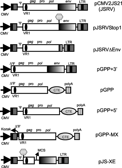 FIG. 1.