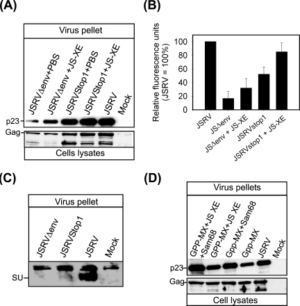 FIG. 3.