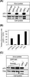 FIG. 2.