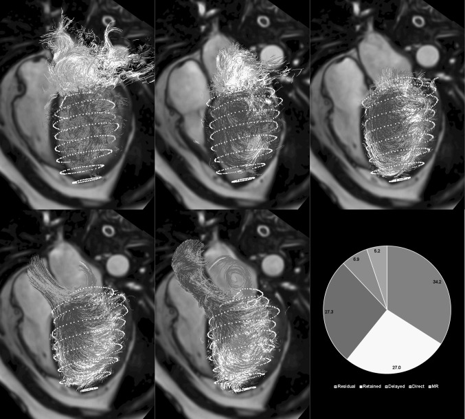 Fig. 6