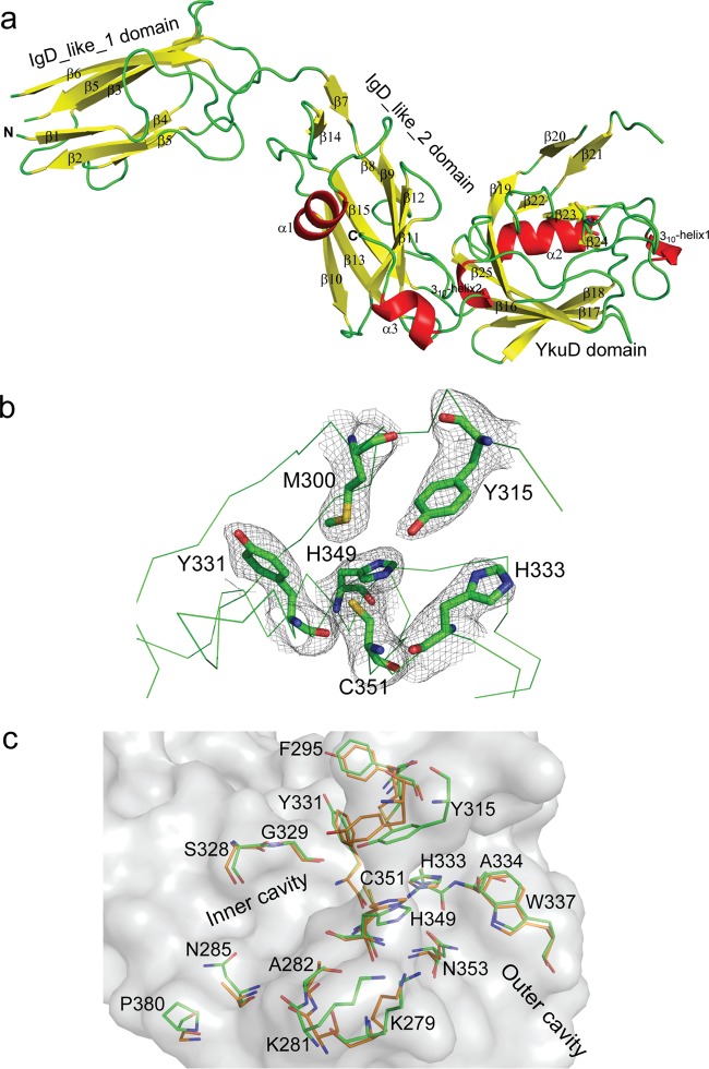 FIG 2