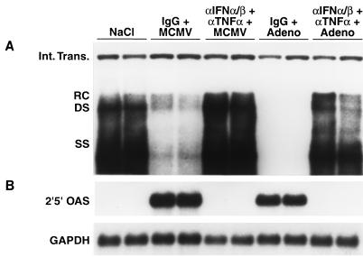 FIG. 5